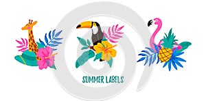 Set of hand drawn summer labels with giraffe, flamingo, toucan, tropical leaves, flowers and pineapple. Vector illustration