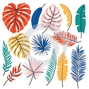 Set of hand drawn tropical leaves. Floral foliage, palm tree branch, jungle leaves