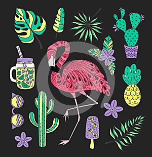 Set of hand drawn vector tropical elements with flamingo, exotic leaves.