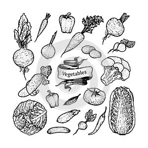 Set of hand drawn vegetables