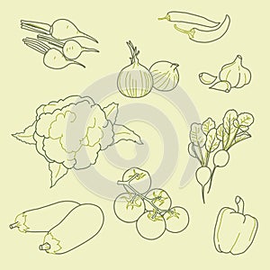 Set of hand-drawn vegetables, organic, healthy food, vector