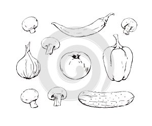 Set of hand drawn vegetables sketches, tomato, cucumber, pepper, onion and mushrooms