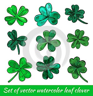 Set of hand drawn watercolor leaf clover isolated on a white background.