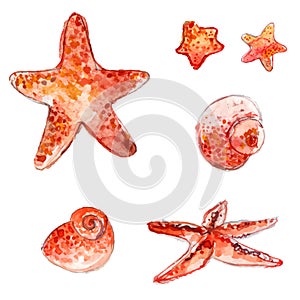 Set of hand drawn watercolor starfishes and sea shells. Artistic vector illustrations isolated on white background.