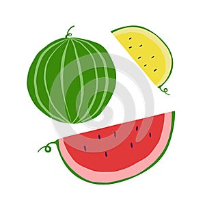Set of hand drawn watermelon and slice of red and yellow watermelon. Summertime fruits on white background.Trendy modern  flat