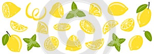 Set of hand drawn whole, half, sliced lemon. vector illustration of fresh tasty citrus fruits and mint for icon, logo