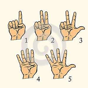 Set of hand gestures count 1 2 3 4 and 5