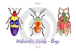 Set of hand painted watercolor bugs, vector.