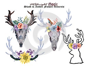 Set of hand painted watercolor flowers, leaves, antlers deer and horns in rustic style. Bohemian composition perfect for floral de