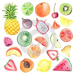 Set of hand painted watercolor summer fruits