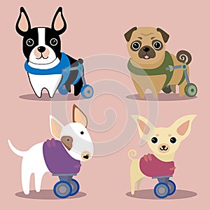 Set of handicapped disabled dogs