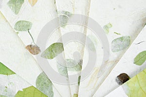 Set of the Handmade recycled flower and leaf paper background