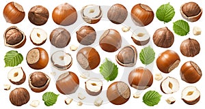 Set of hazelnuts, green leaves and small nut pieces isolated on white background. Collection #1-3