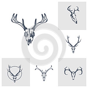 Set of Head Deer bone vector illustration design. Head Deer logo design Template