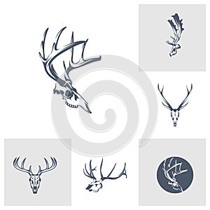 Set of Head Deer bone vector illustration design. Head Deer logo design Template