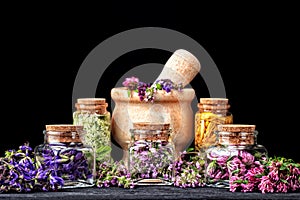 Set of healing herbs