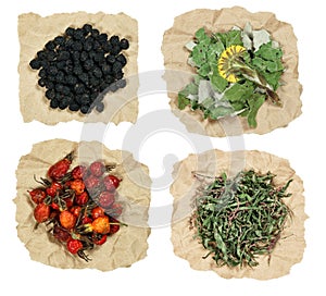 Set of healing herbs. Dried grass for use in alternative medicine