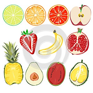 Set of healthful fruits isolated on white background. Illustration of cut healthful fruits.