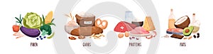 Set of healthy macronutrients. Fiber or cellulose, proteins, fats and carbs or carbohydrates presented by food products