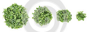 Set with heaps of cut parsley isolated on white, top view