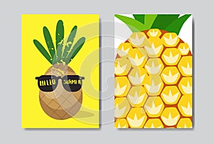 Set hello summer pineapple badge Isolated Typographic Design Label. Season Holidays lettering for logo,Templates