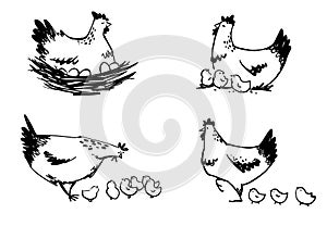 Set of hens with chicks and hen sitting on eggs, vector line art