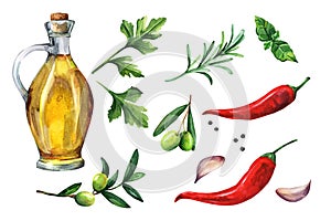 Set of herbs, spices and olive oil. Watercolor illustration