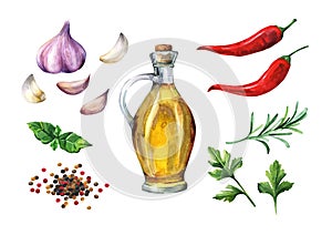 Set of herbs and spices. Watercolor collection 3