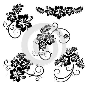 Set of hibiscus flourish decorative design elements