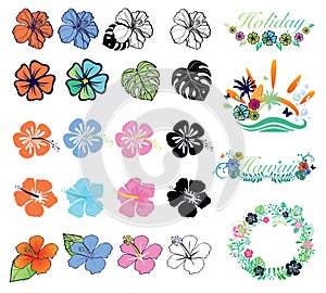 Set of hibiscuses and designs on summer theme