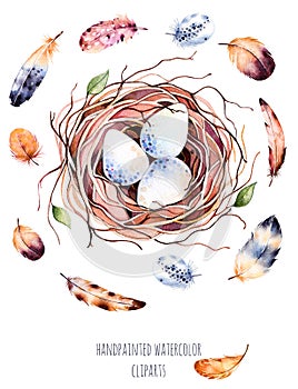 Set of high quality hand painted watercolor bird nest with eggs and feathers