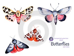 Set of high quality hand painted watercolor Butterflies and moths.