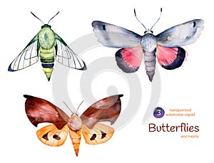 Set of high quality hand painted watercolor Butterflies and moths. photo