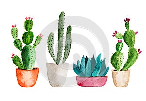 Set of high quality hand painted watercolor elements for your design with succulent plants, cactus and more.