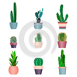 Set of high quality hand painted watercolor elements for your design with succulent plants, cactus and more. Perfect