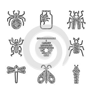 Set Hive for bees, Butterfly, Larva insect, Beetle bug, Dragonfly, deer, and Spider icon. Vector