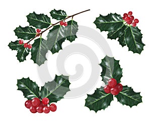 Set of holly christmas decorations