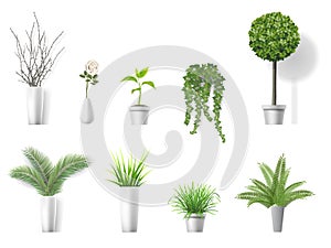 Set home plants