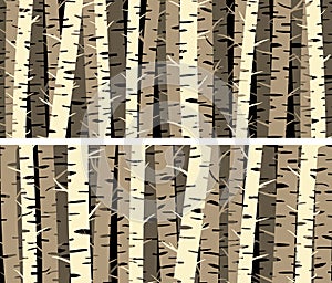 Set of horizontal banners with birch trunks forest.