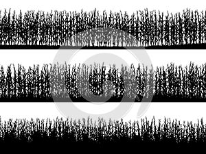 Horizontal banners of field silhouettes with corn. photo