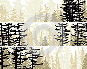 Set of horizontal banners view from coniferous forest.