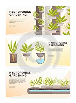 Set of horizontal web banners with plants growing in pots with mineral solution and place for text. Hydroponic gardening