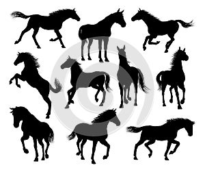 Horse Silhouettes Set