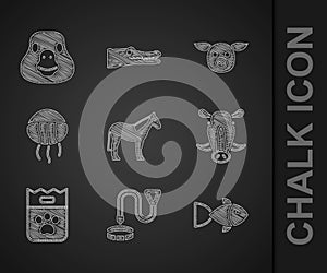 Set Horse, Collar with name tag, Fish, Wild boar head, Bag of food, Jellyfish, Pig and Goose bird icon. Vector