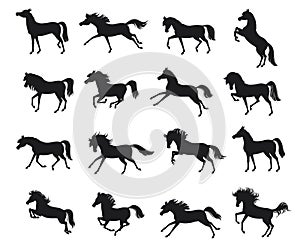 Set with horse silhouettes.