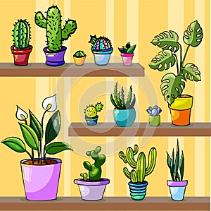 Set of house plants on table