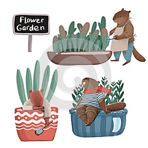 Set about houseplant. Little cartoon beavers take care about green plants in pots