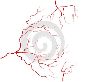 Set of human eye veins, red blood vessels, blood system. Vector illustration on white background