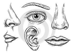 Set of human face parts