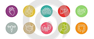 Set of human internal organs icon, medical organ symbol with circle shape